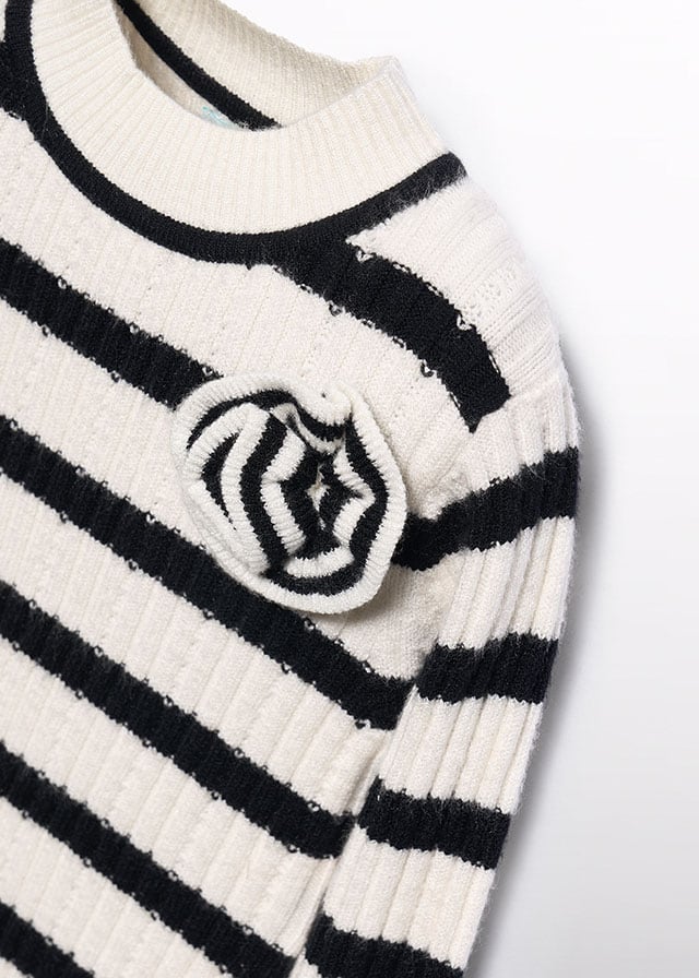 Knit Striped Turtleneck