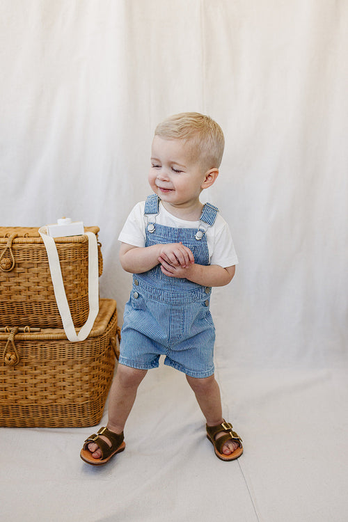 Blue Stripe Short Overalls *Online Exclusive*