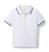 The Stripe Trim Polo